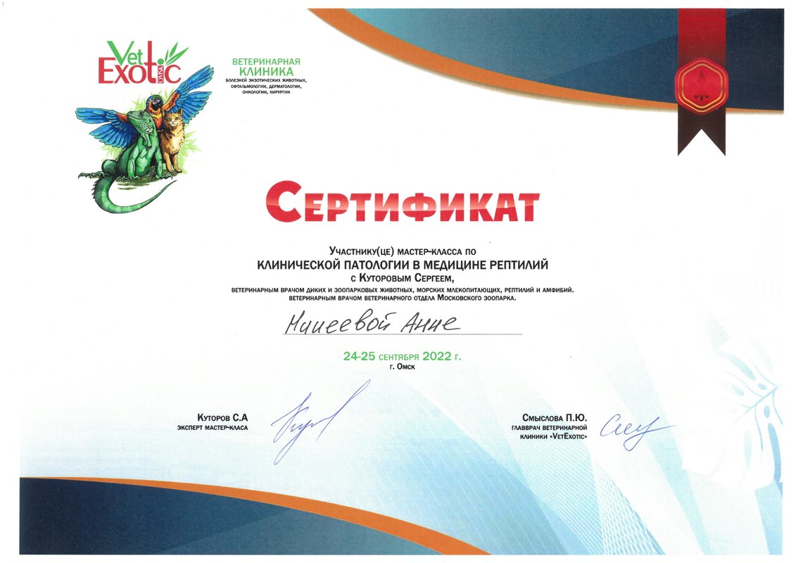 Документ или сертификат