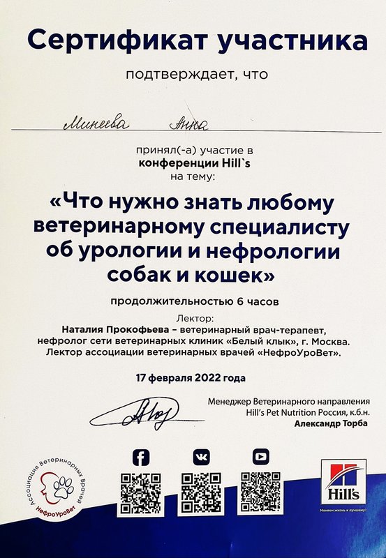 Документ или сертификат