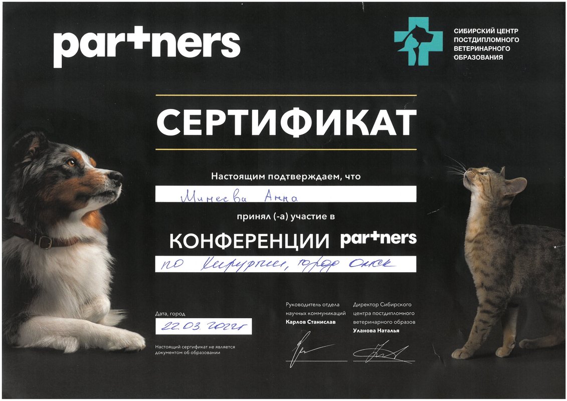 Документ или сертификат