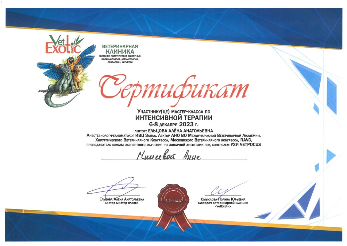 Документ или сертификат