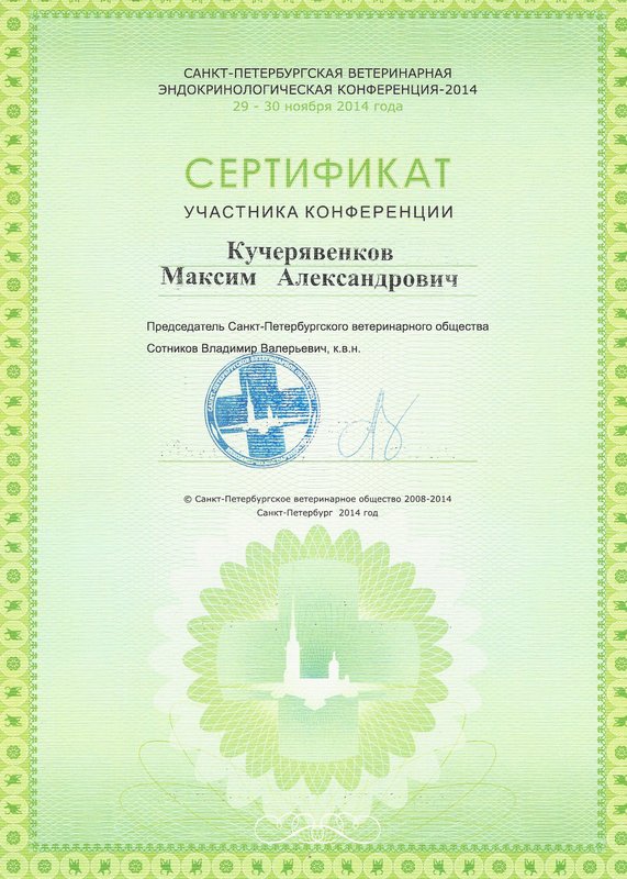 Документ или сертификат