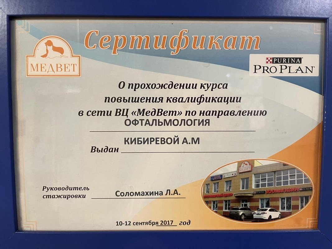 Документ или сертификат
