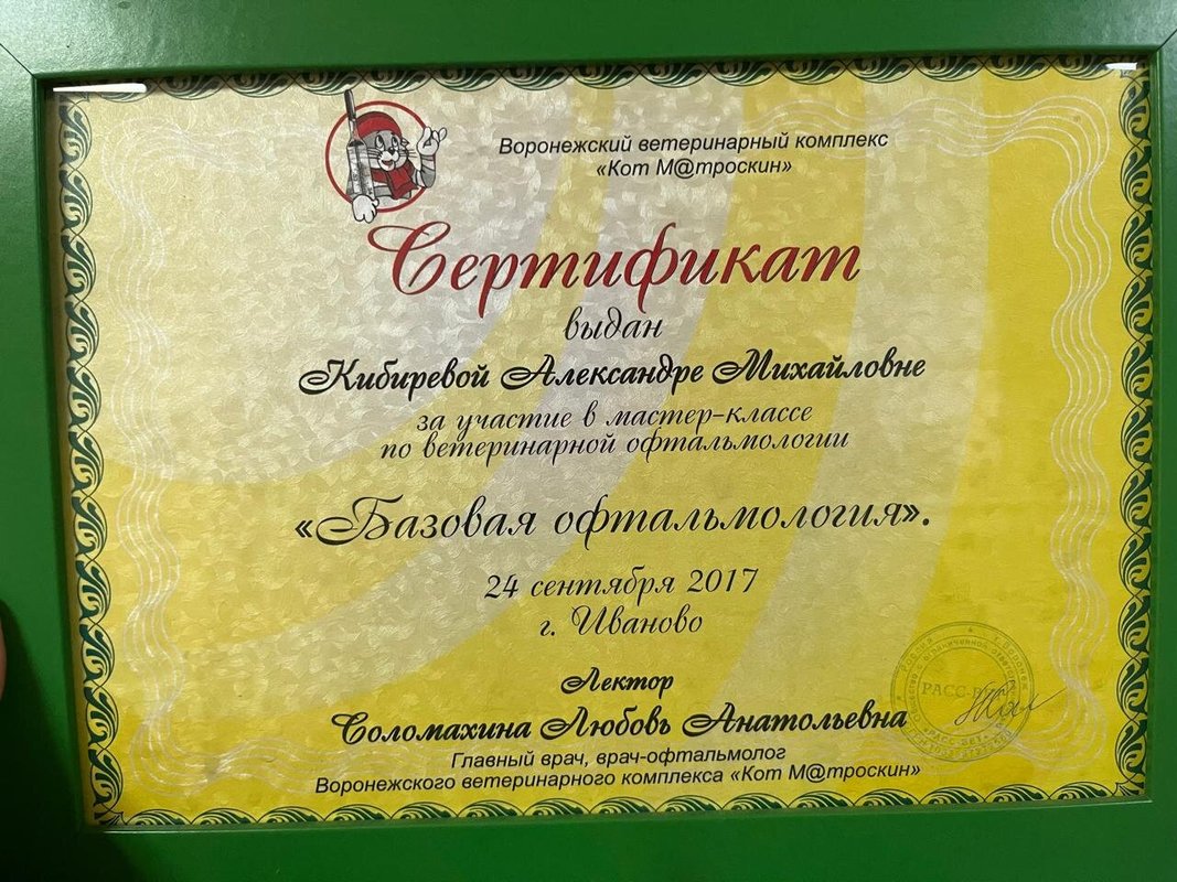 Документ или сертификат