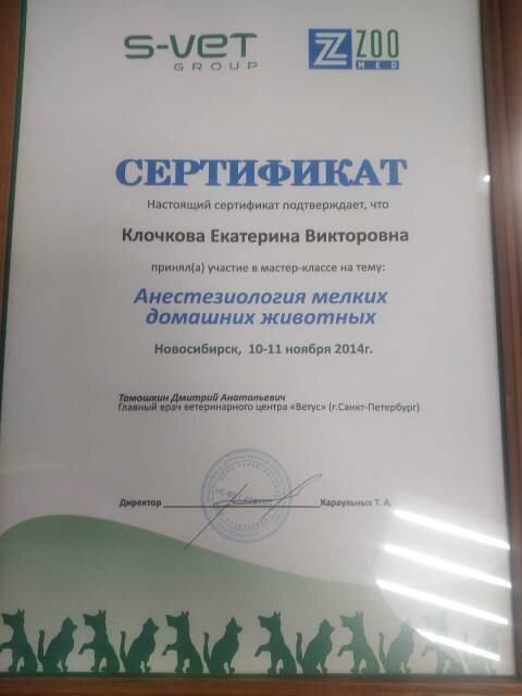 Документ или сертификат