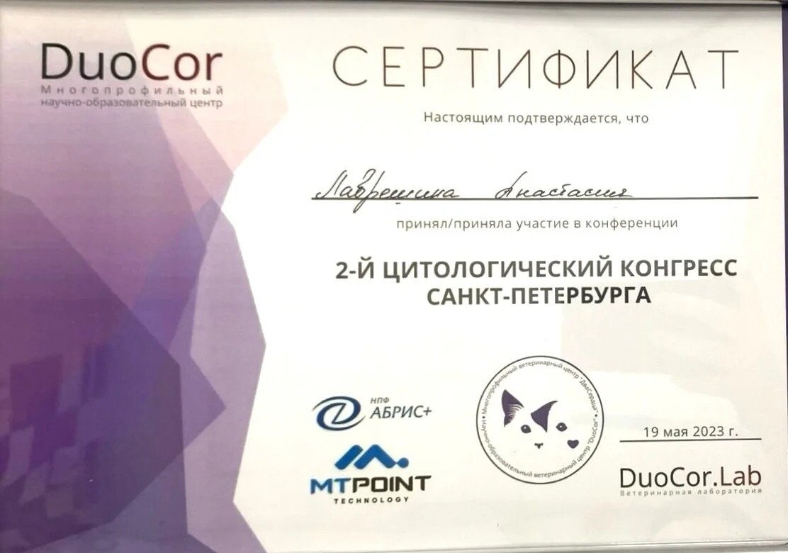 Документ или сертификат