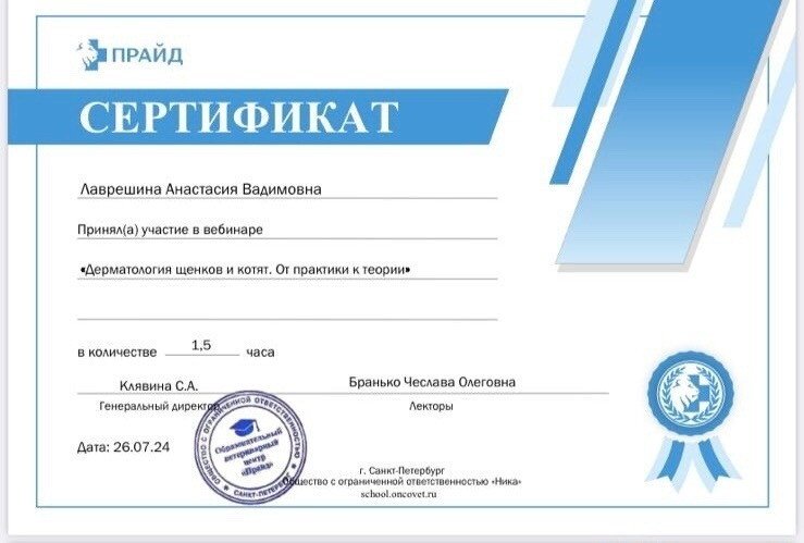 Документ или сертификат