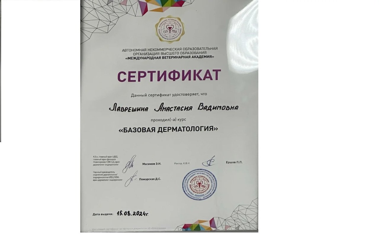 Документ или сертификат