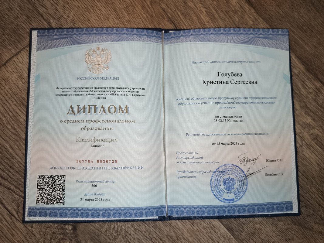 Документ или сертификат