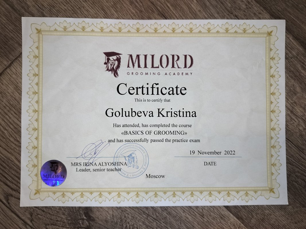 Документ или сертификат