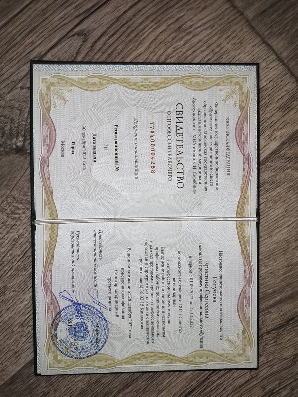 Документ или сертификат