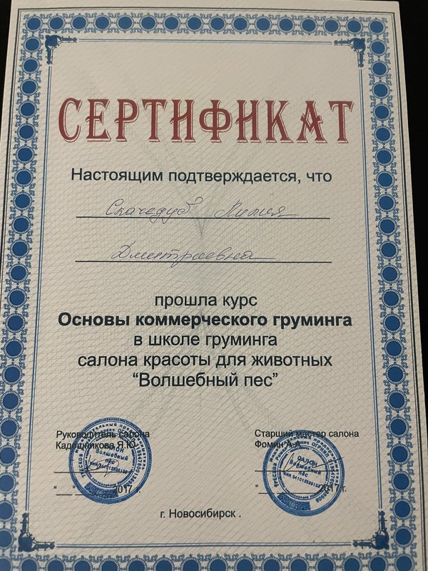 Документ или сертификат
