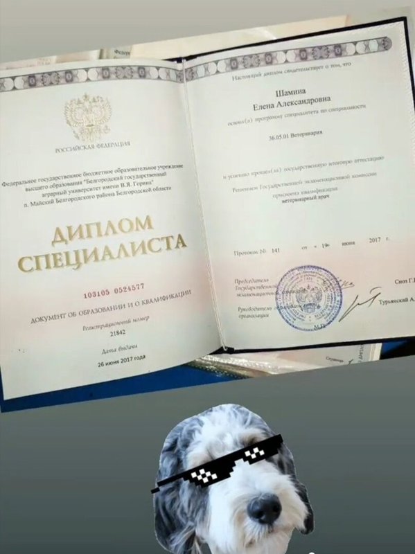 Документ или сертификат