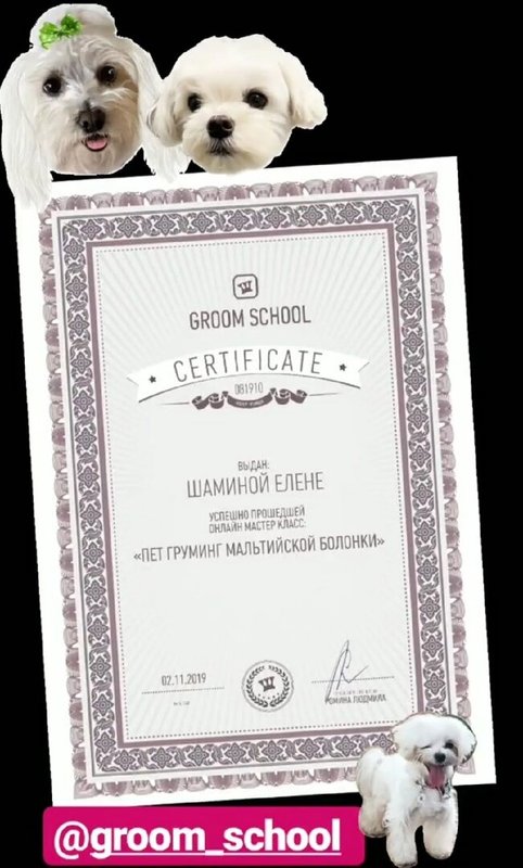 Документ или сертификат