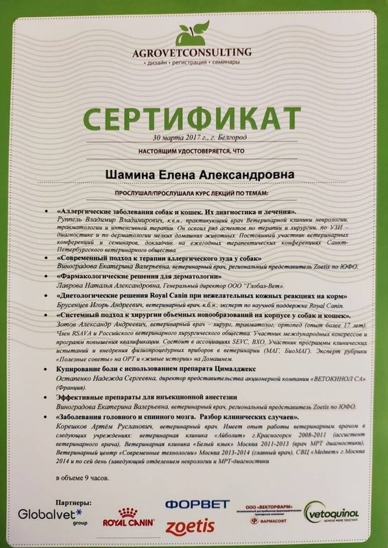 Документ или сертификат