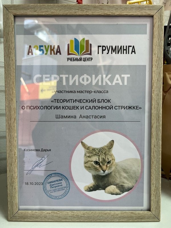 Документ или сертификат