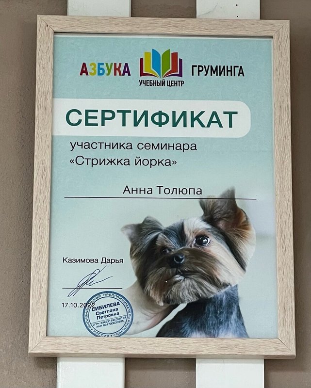 Документ или сертификат