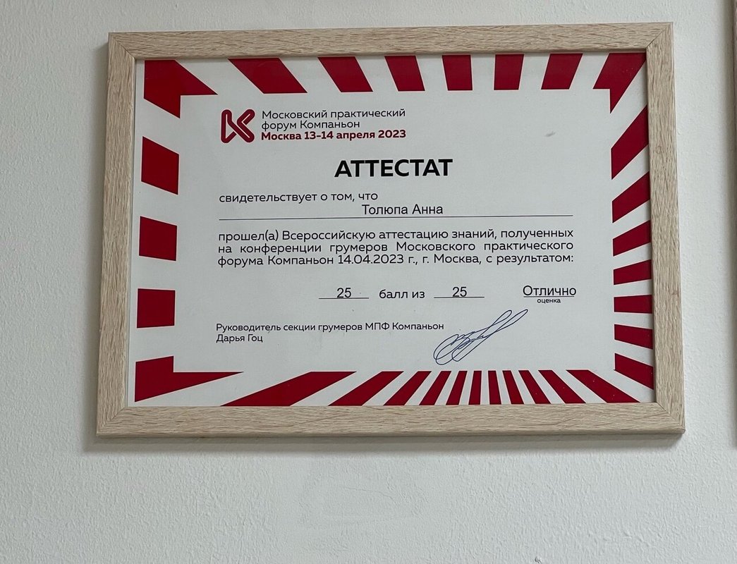 Документ или сертификат