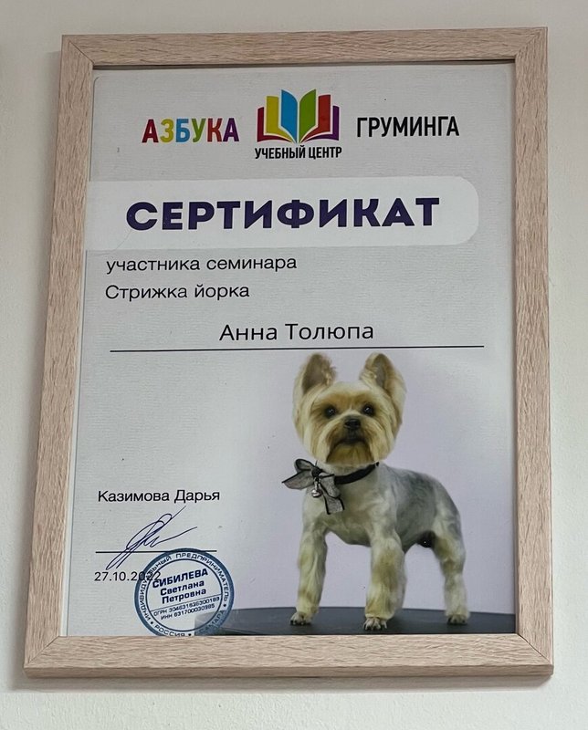Документ или сертификат