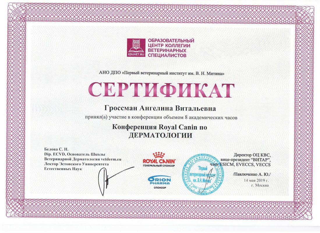 Документ или сертификат