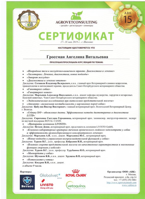 Документ или сертификат