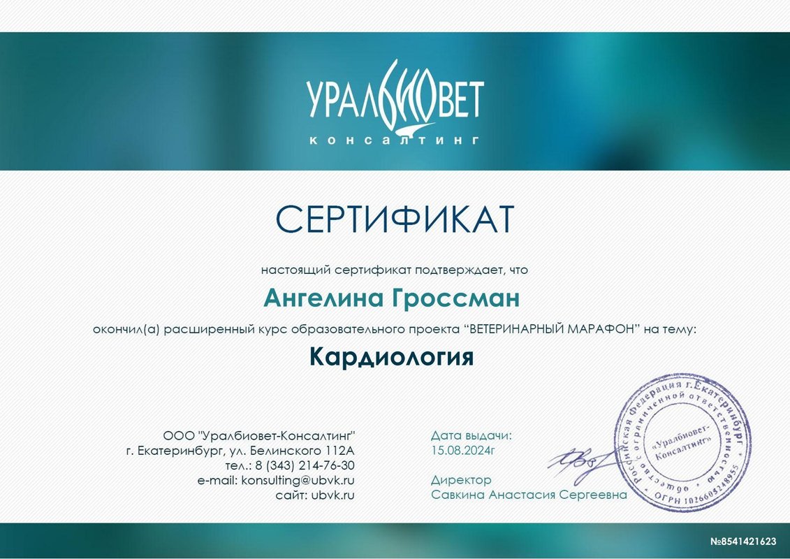 Документ или сертификат