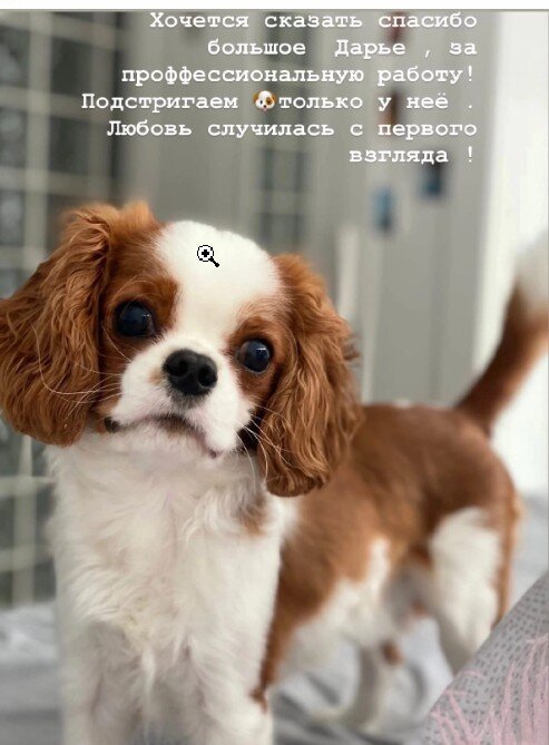Фото врача