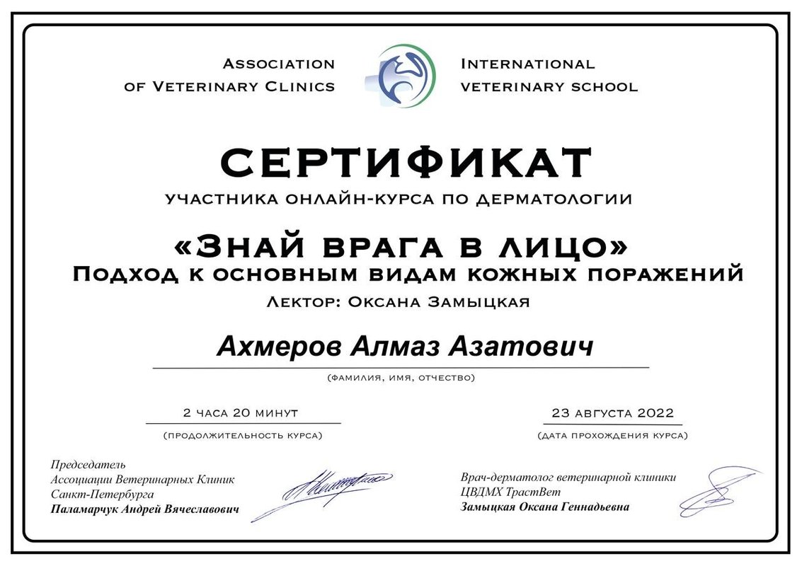 Документ или сертификат