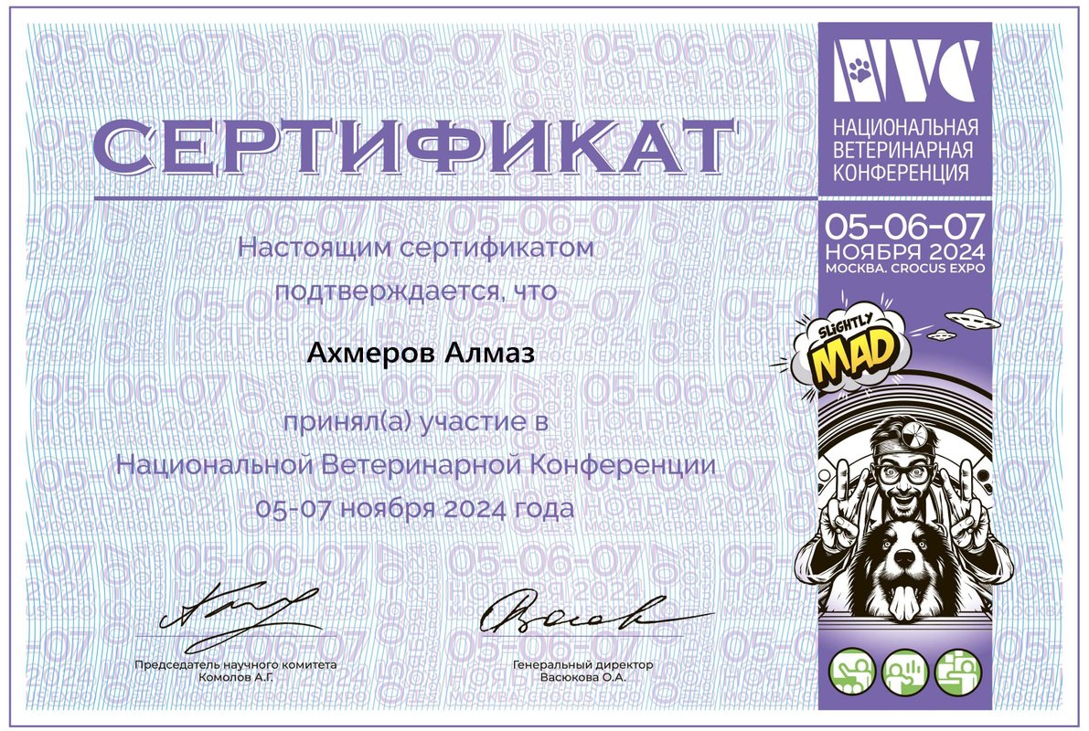Документ или сертификат