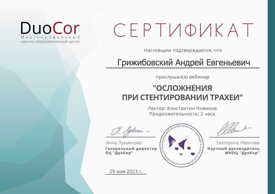 Документ или сертификат