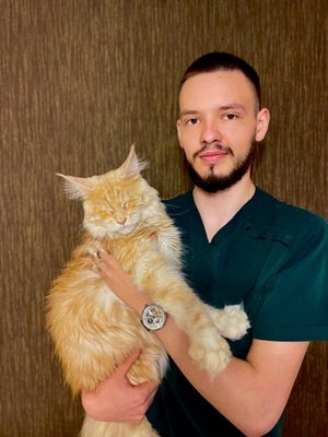 Фото врача Мазур Кирилл Александрович