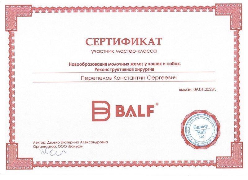 Документ или сертификат