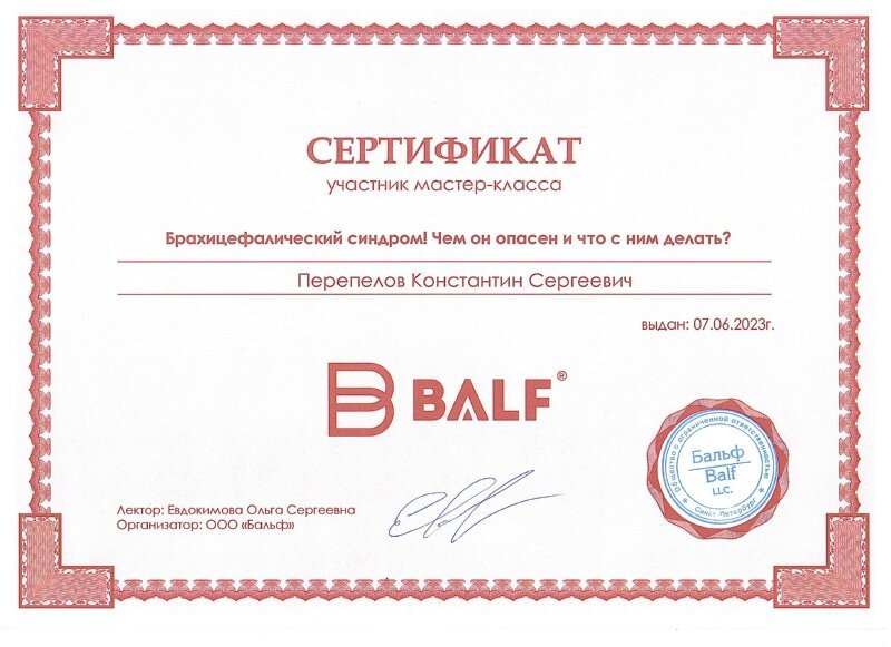 Документ или сертификат