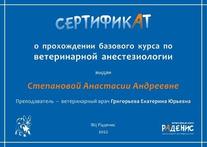 Документ или сертификат