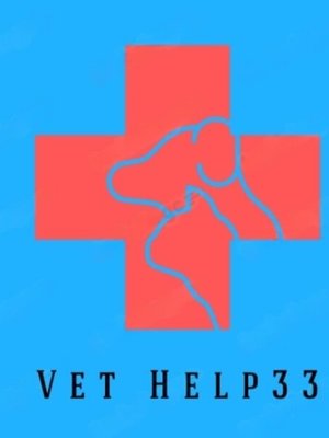 Фото врача VetHelp33 VetHelp33