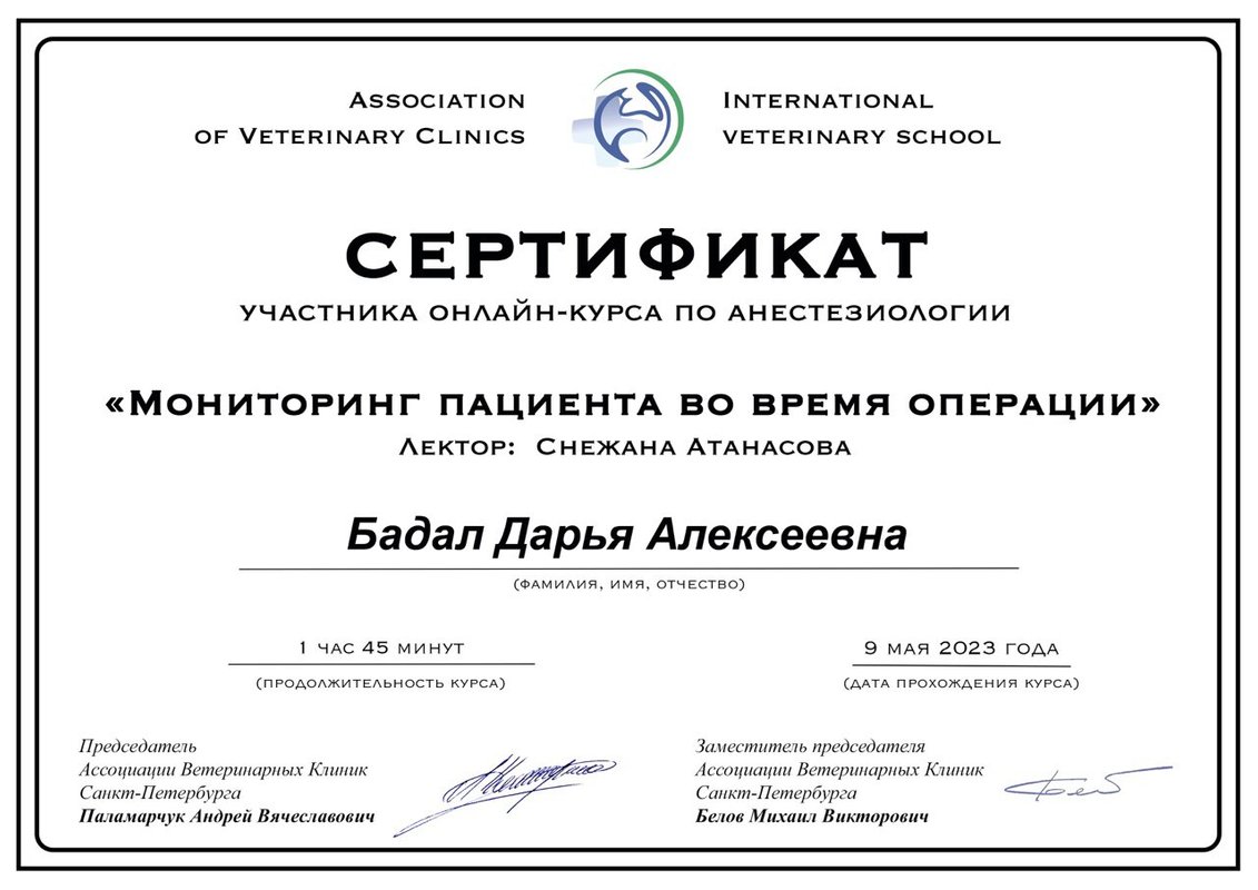Документ или сертификат