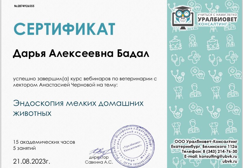 Документ или сертификат