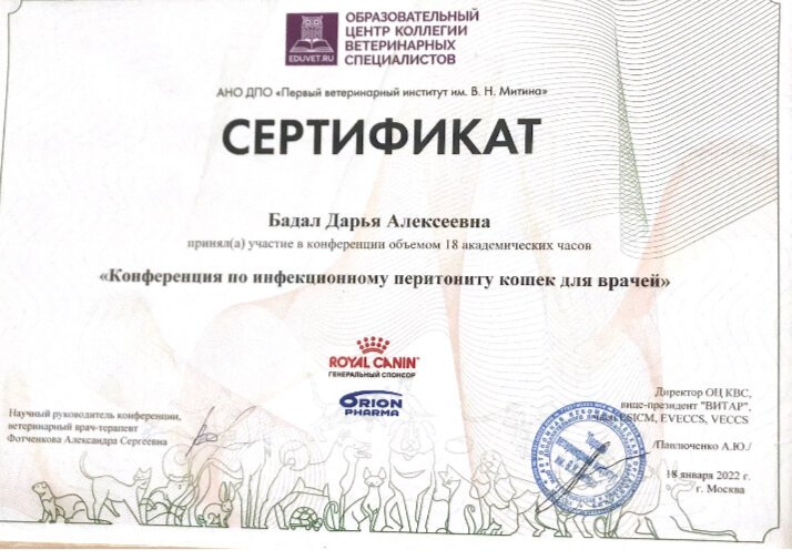 Документ или сертификат