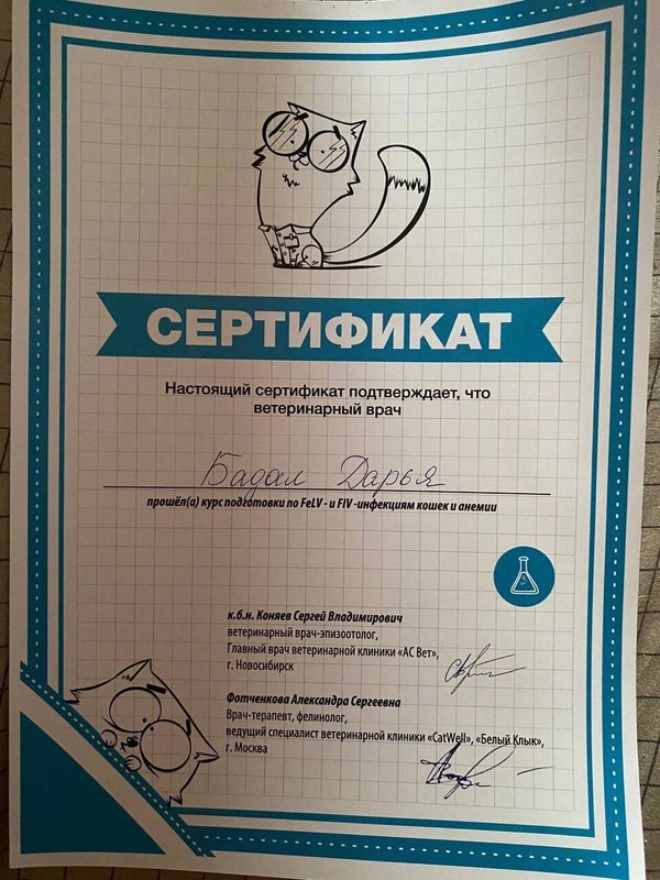 Документ или сертификат