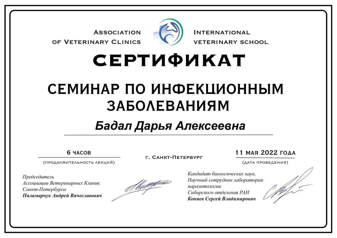 Документ или сертификат
