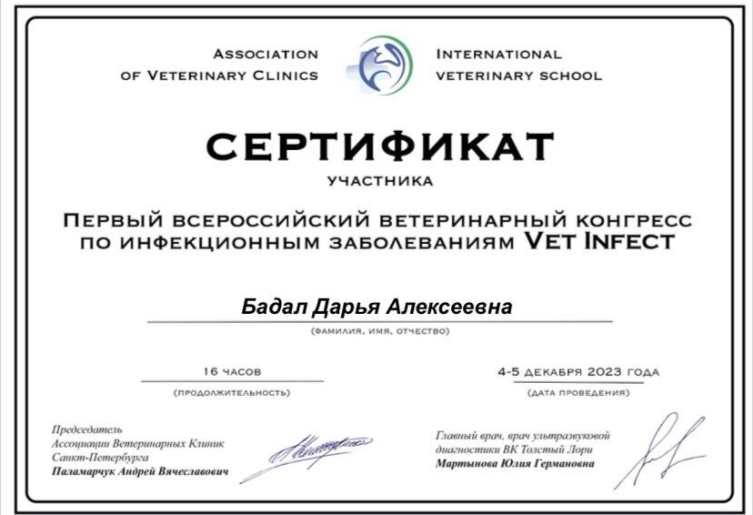 Документ или сертификат