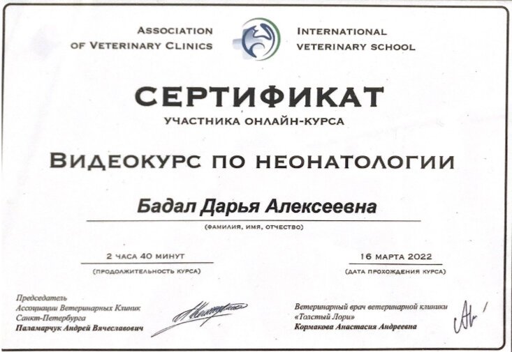 Документ или сертификат