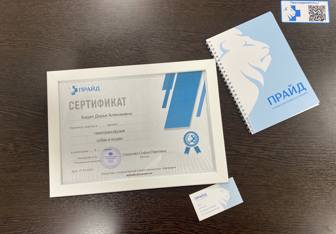 Документ или сертификат