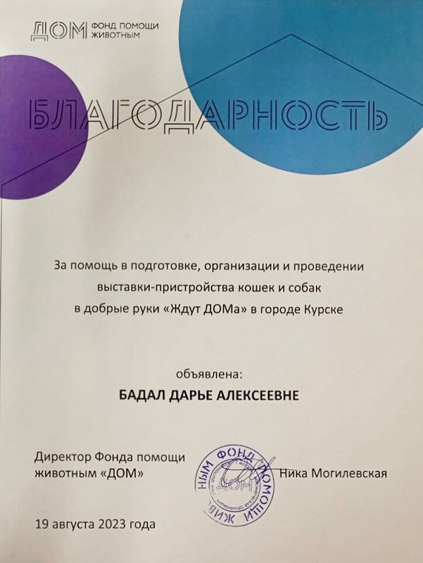 Документ или сертификат