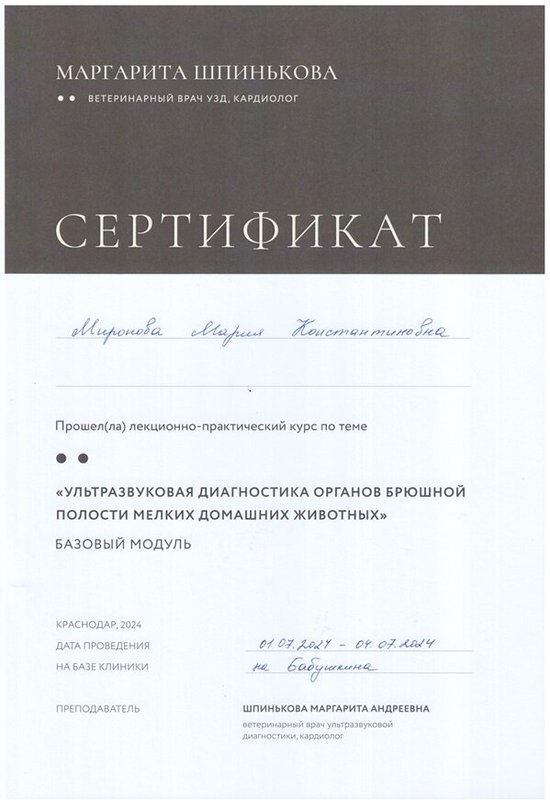 Документ или сертификат