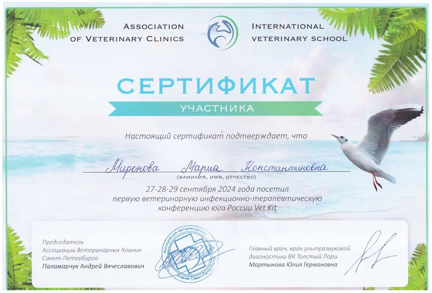 Документ или сертификат