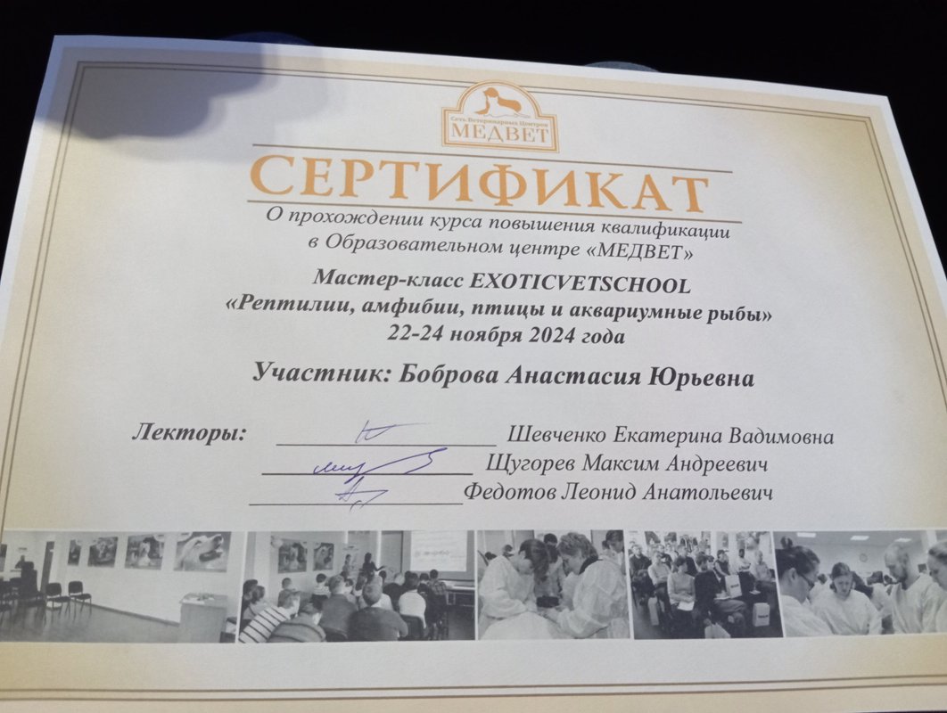 Документ или сертификат