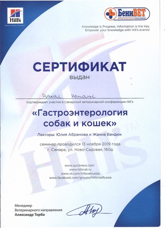 Документ или сертификат
