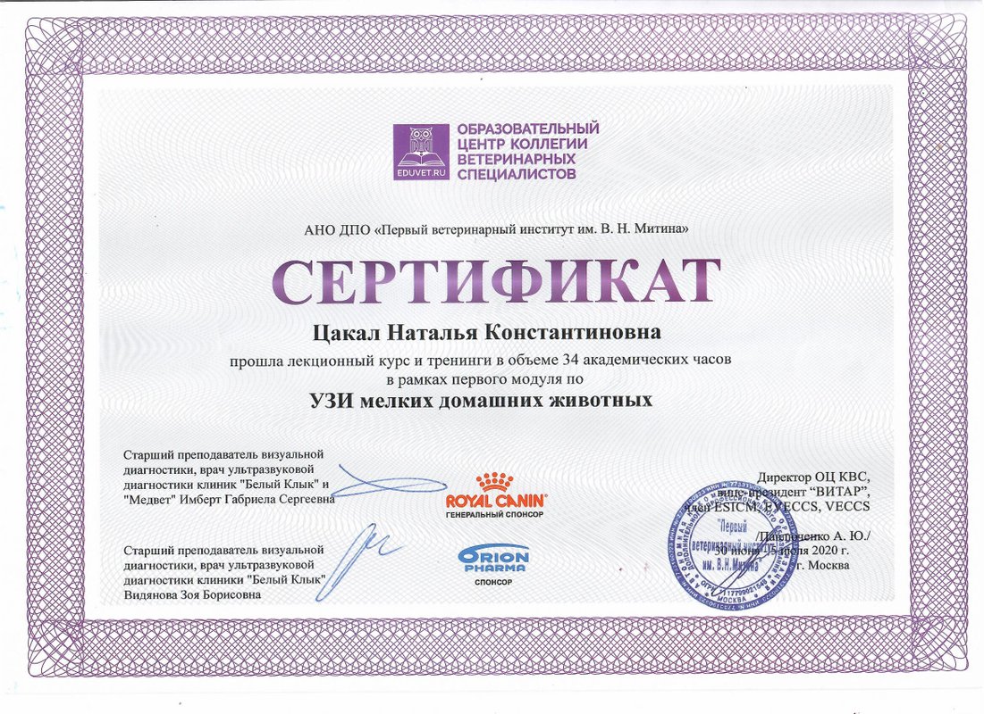Документ или сертификат