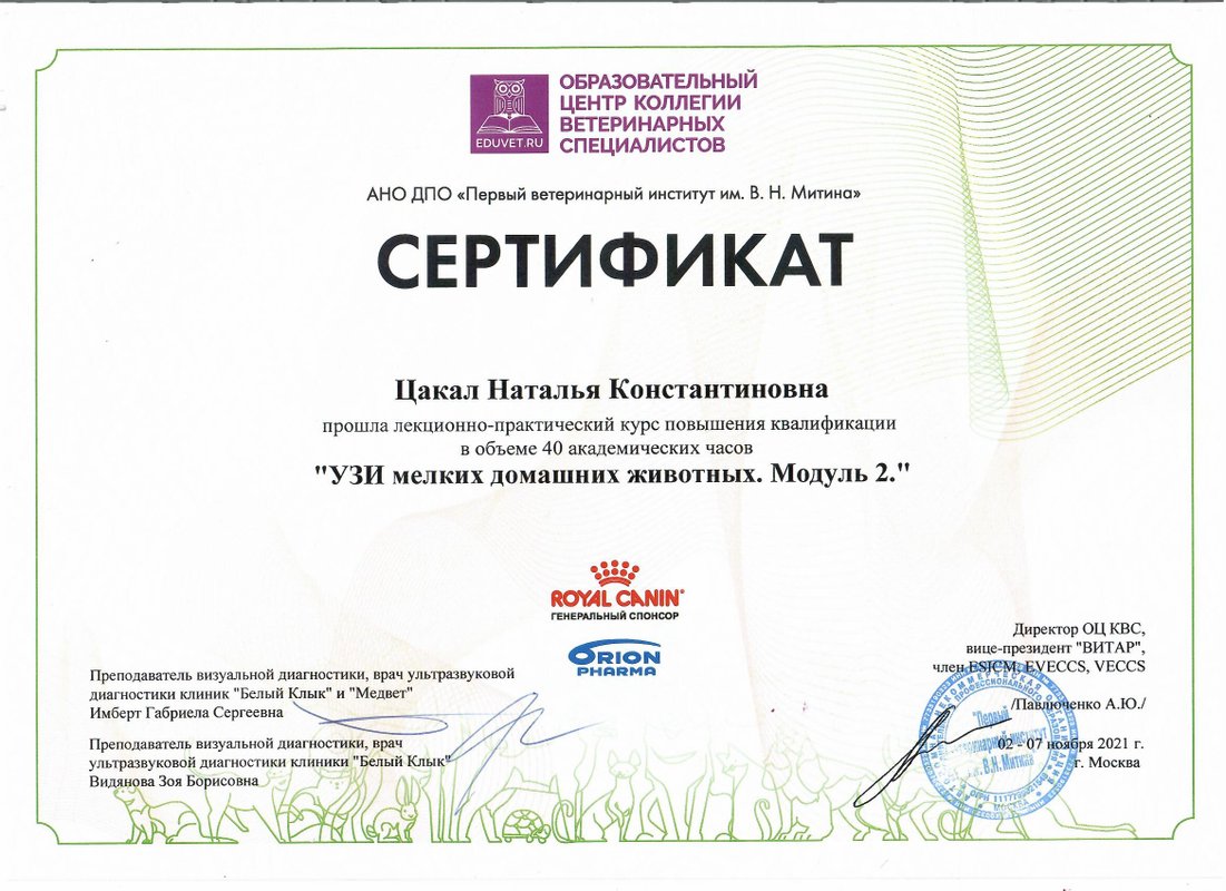 Документ или сертификат