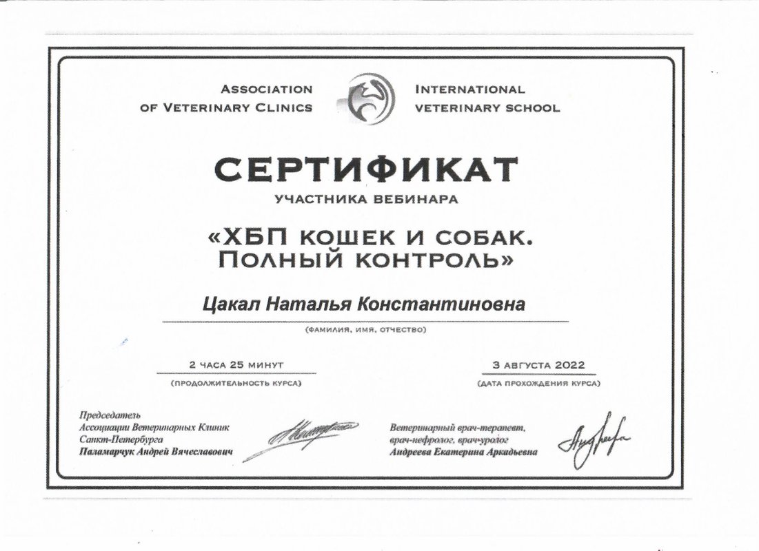 Документ или сертификат